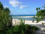 Motu Tetaraire  View of Beach